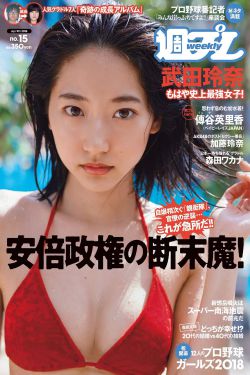 第1章漂亮小姨子_官路女人香